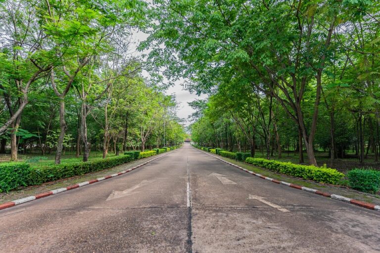 Kegiatan Akademik dan Non-Akademik di Universitas Muhammadiyah Jember